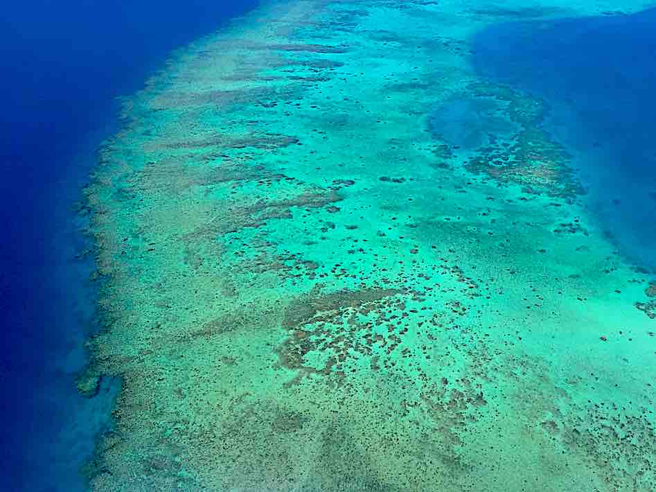Coral Reef Fiji